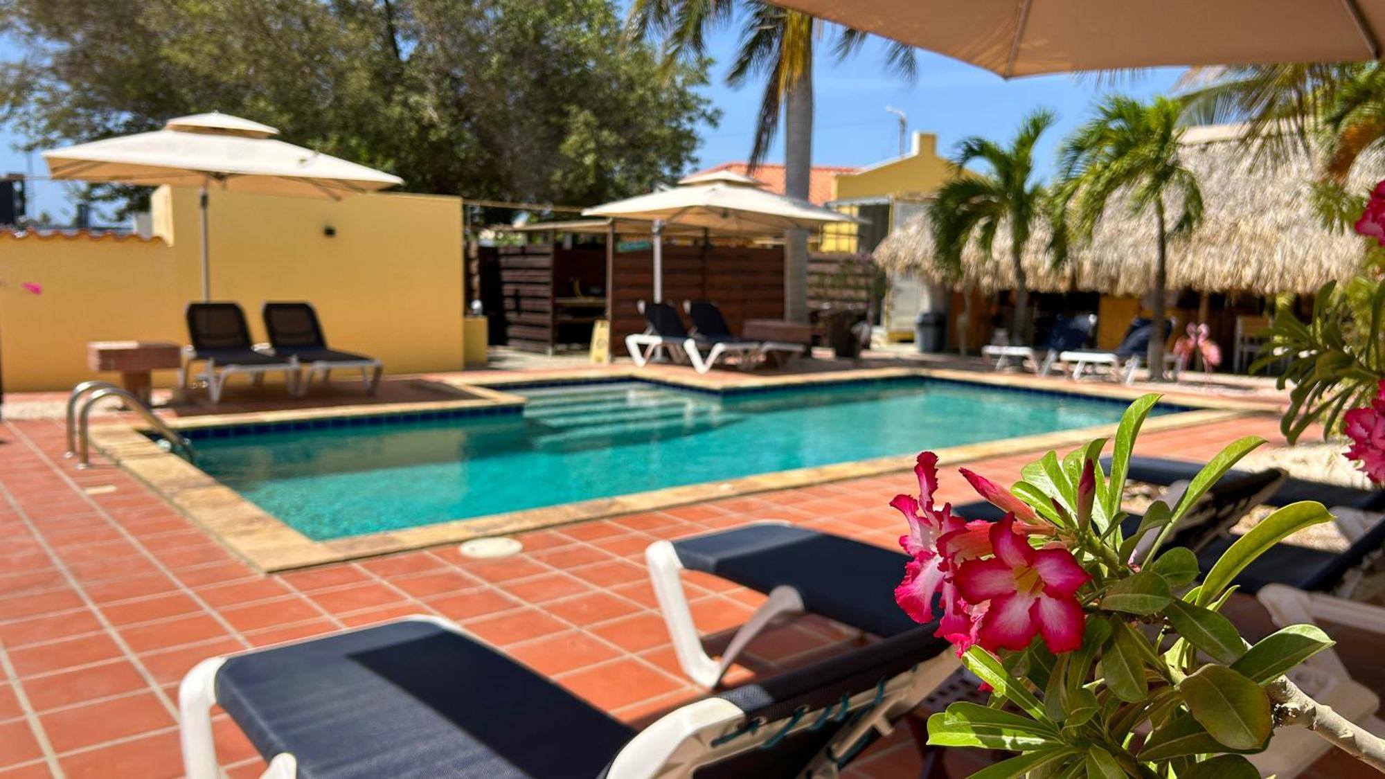 Sonrisa Boutique Hotel - Adults Only Kralendijk  Luaran gambar
